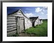 Fishermen's Huts, Lindisfarne, Holy Island, Northumberland, England, United Kingdom, Europe by Lee Frost Limited Edition Print