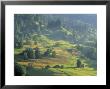 Alpine Meadow, Switzerland by Jon Arnold Limited Edition Pricing Art Print