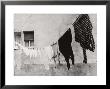 Laundry Hanging Out To Dry by Vincenzo Balocchi Limited Edition Print
