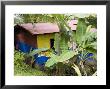 Colorful Home In The Nicaraguan Town Along Costa Rican Border by David Evans Limited Edition Print