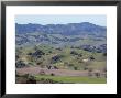 Scenic Landscape Of Oak Woodland Habitat, California by Rich Reid Limited Edition Pricing Art Print