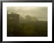 Vineyards Beside A Villa In The Fog Along The Chianti Countryside, Tuscany, Italy by Todd Gipstein Limited Edition Print