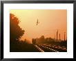 Aerial Crop Duster And Train At Sunrise by Rex Stucky Limited Edition Print