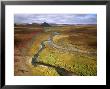 Fall Color On The Central North Slope Of Alaska, North Slope, Alaska by Joel Sartore Limited Edition Print