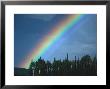 Rainbow Over Forest, British Columbia, Canada by Nick Norman Limited Edition Print