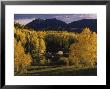 Farm Nestled Among Aspen Trees In Fall Colors And Mountains, Telluride, Colorado by Annie Griffiths Belt Limited Edition Print