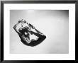 Study Of Nude Female Dancer by Gjon Mili Limited Edition Print