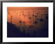 Oil Rigs Dating From The 1920'S Dot The Shallows Of Galveston Bay by Ralph Crane Limited Edition Print