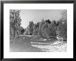 Snow Covering Countryside Northeast Of Lake Ladoga by Carl Mydans Limited Edition Print