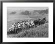 Hayride For Mansfield, Ohio, Senior High School Graduating Class by Alfred Eisenstaedt Limited Edition Print