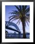 Australia, New South Wales, Sydney, Sydney Harbour Bridge by Walter Bibikow Limited Edition Print