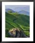 Tea Plantations, Munnar, Western Ghats, Kerala, India by Michele Falzone Limited Edition Pricing Art Print