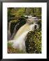 Small Waterfall On Aira River, Ullswater, Cumbria, England, United Kingdom, Europe by Pearl Bucknall Limited Edition Print