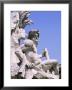 Giacomo Della Portas Statue, Piazza Navona, Rome, Lazio, Italy by Roy Rainford Limited Edition Print