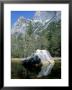 Mirror Lake And Half Dome, Yosemite National Park, Unesco World Heritage Site, Usa by Roy Rainford Limited Edition Print