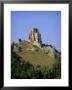 The Ruins Of Corfe Castle, Dorset, England, Uk by John Miller Limited Edition Print