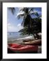 Beach, Les Salines, Martinique, French Antilles, West Indies, Central America by Guy Thouvenin Limited Edition Print