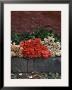 Roses For Sale On Street, San Miguel De Allende, Mexico by Nancy Rotenberg Limited Edition Print
