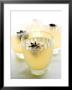 Ginger Limeade With Star Anise by Chris Alack Limited Edition Pricing Art Print