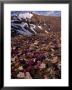 Mt. Lincoln, Colorado, Usa by Karl Lehmann Limited Edition Pricing Art Print