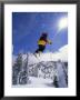 Skier In Mid Air At The Big Mountain Ski Area by Gordon Wiltsie Limited Edition Print