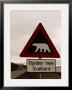 Polar Bear Crossing Sign In Svalbard, Norway, Svalbard, Norway by Norbert Rosing Limited Edition Print