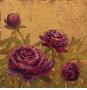 Garden Peonies by Edward Raymes Limited Edition Print