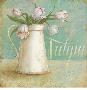 Tulipa Scroll by Angela Staehling Limited Edition Print