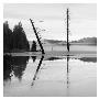 Two Trees At Hyatt Lake I by Shane Settle Limited Edition Print