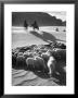 Native American Indians Herd Sheep by Loomis Dean Limited Edition Pricing Art Print