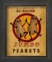 Hot Roasted Peanuts by Louise Max Limited Edition Pricing Art Print