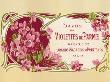 Violettes De Parme by Sophia Davidson Limited Edition Pricing Art Print