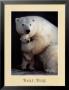 Bear Hug by Rick Egan Limited Edition Print