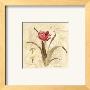 Red Tulips by Carol Robinson Limited Edition Pricing Art Print