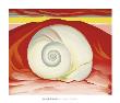 Red Hills With White Shell, C.1938 by Georgia O'keeffe Limited Edition Pricing Art Print