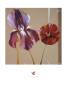 Movement Flowers by Julia Ogden Limited Edition Print