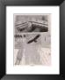 Koan 320 by Carl Beam Limited Edition Print