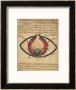 Anatomy Of The Eye, From A Book On Eye Diseases by Al-Mutadibi Limited Edition Pricing Art Print