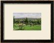 Hillside Of Vesinet, Yvelines, 1871 by Camille Pissarro Limited Edition Print