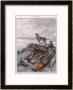 Wounded French Soldier by Fortunio Matania Limited Edition Print