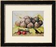Figs by Giovanna Garzoni Limited Edition Pricing Art Print