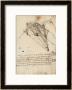 The Rudder Of A Wing, Institut De France, Paris by Leonardo Da Vinci Limited Edition Print