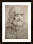 Self-Portrait In Old Age by Leonardo Da Vinci Limited Edition Print