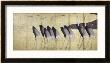 Cranes, Japanese Edo Screen Painting by Ogata Korin Limited Edition Pricing Art Print