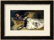 Georges Clairin Pricing Limited Edition Prints