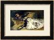 Sarah Bernhardt 1871 by Georges Clairin Limited Edition Pricing Art Print