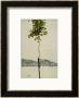 Horse Chestnut Tree, Lake Constance, 1912 by Egon Schiele Limited Edition Pricing Art Print