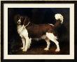 A Spaniel In A Landscape, 1784 by George Stubbs Limited Edition Print