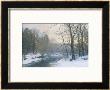 The Woods In Silver And Gold by Anders Andersen-Lundby Limited Edition Print