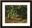 Forest Path, Circa 1892 by Paul Cã©Zanne Limited Edition Print